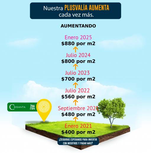 propuesta enero 2025
